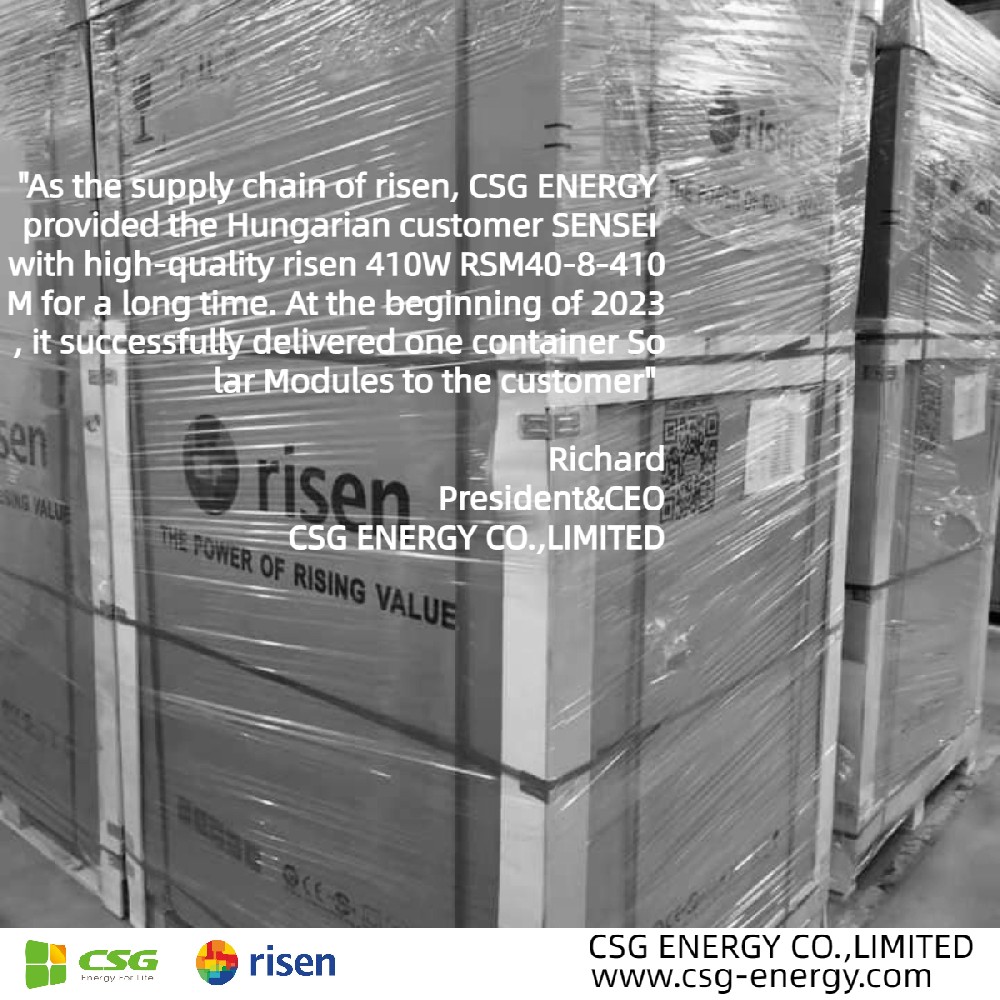 At the beginning of 2023, it sucessfully delivered 1*40ft container Risen Solar Modules to the european customer